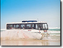 Kings Cape Reinga Scenic Coach Tour